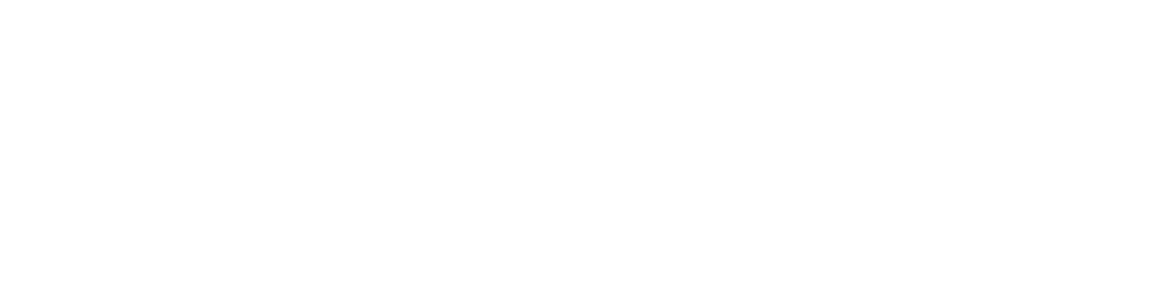 ProChecker Logo